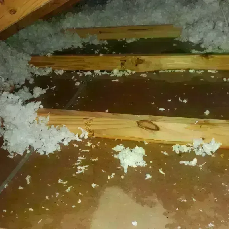 Attic Water Damage in Cleveland, MS