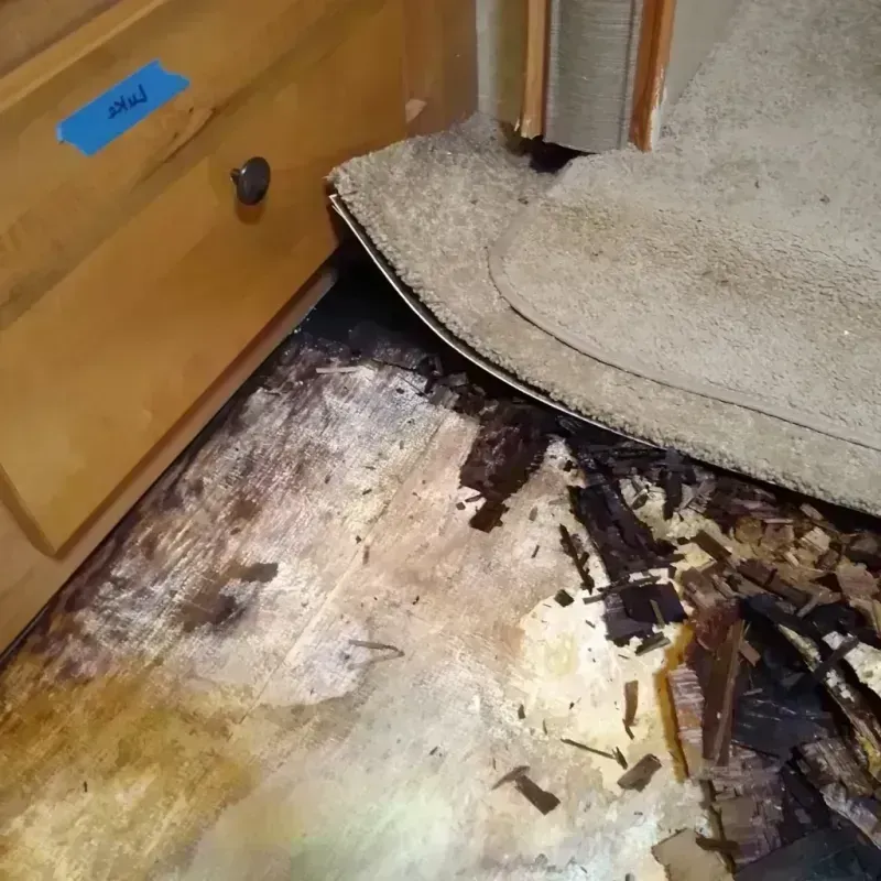 Wood Floor Water Damage in Cleveland, MS